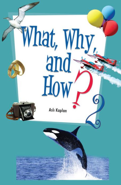 What, Why and How - 2