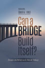 Can a Bridge Build Itself?: Essays on Belief and Moral Values