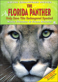 Florida Panther: Help Save This Endangered Species!