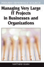 Managing Very Large It Projects In Businesses And Organizations