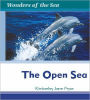 The Open Sea