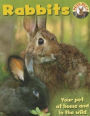 Rabbits