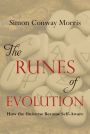 The Runes of Evolution: How the Universe became Self-Aware