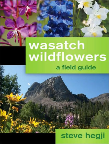 Wasatch Wildflowers
