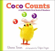 Coco Counts: A Little Chick's First Book of Numbers