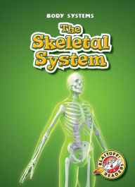 The Skeletal System
