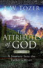 The Attributes of God Volume 1: A Journey into the Father's Heart