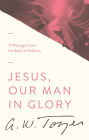 Jesus, Our Man in Glory: 12 Messages from the Book of Hebrews