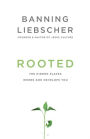 Rooted: The Hidden Places Where God Develops You