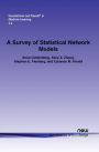 A Survey Of Statistical Network Models