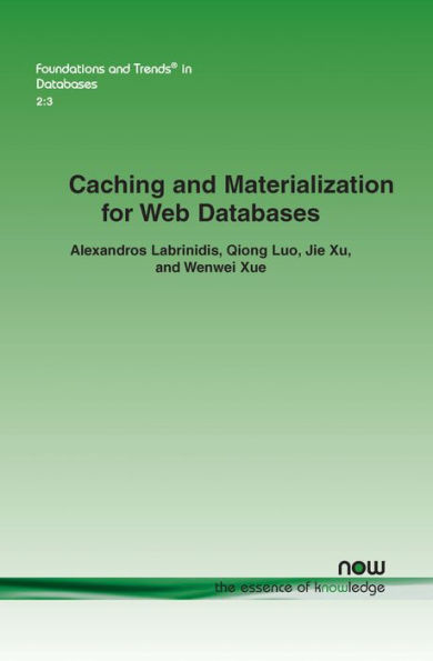 Caching and Materialization for Web Databases