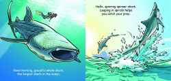 Alternative view 2 of Bath Time Sharks