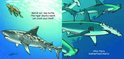 Alternative view 4 of Bath Time Sharks