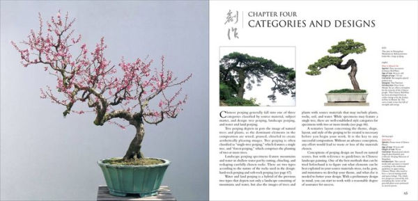 Penjing: The Chinese Art of Bonsai: A Pictorial Exploration of Its History, Aesthetics, Styles and Preservation