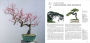 Alternative view 6 of Penjing: The Chinese Art of Bonsai: A Pictorial Exploration of Its History, Aesthetics, Styles and Preservation