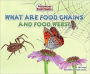 What Are Food Chains and Food Webs?