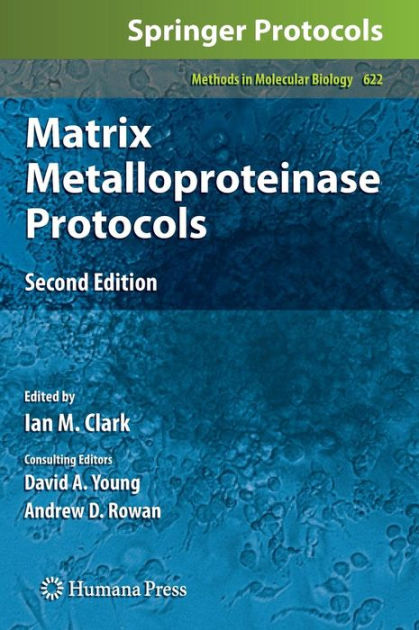 Matrix Metalloproteinase Protocols   Edition 2 By David A. Young 