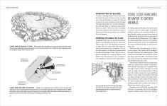 Alternative view 2 of Humane Livestock Handling: Understanding livestock behavior and building facilities for healthier animals