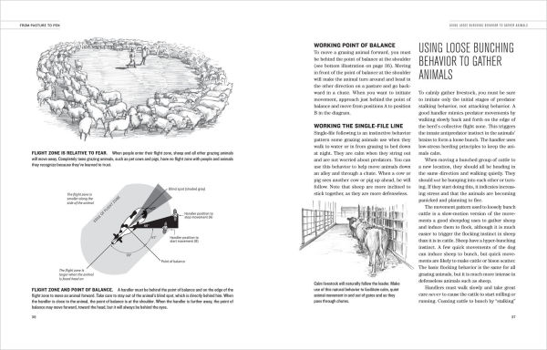 Humane Livestock Handling: Understanding livestock behavior and building facilities for healthier animals