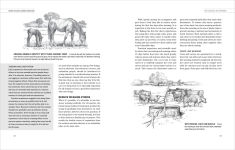 Alternative view 3 of Humane Livestock Handling: Understanding livestock behavior and building facilities for healthier animals