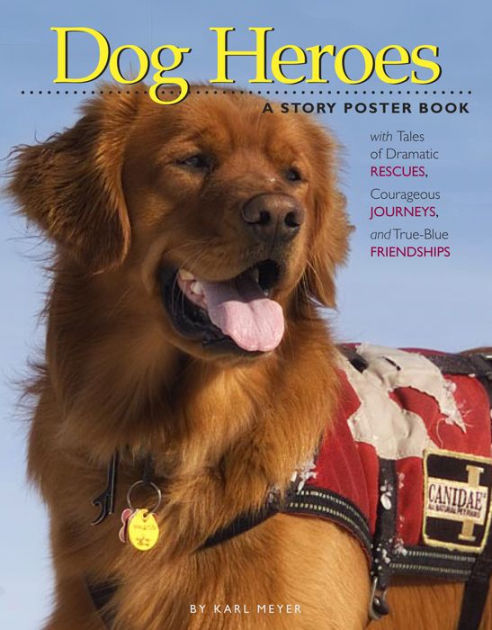 Dog Heroes: A Poster Book by Karl Meyer, Paperback | Barnes & Noble®