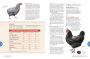 Alternative view 5 of The Chicken Encyclopedia: An Illustrated Reference