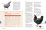 Alternative view 9 of The Chicken Encyclopedia: An Illustrated Reference