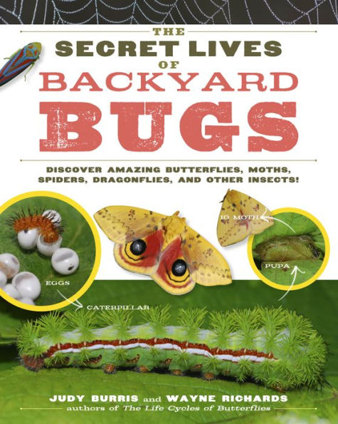 The Secret Lives of Backyard Bugs: Discover Amazing Butterflies, Moths, Spiders, Dragonflies, and Other Insects!