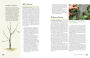 Alternative view 4 of The Fruit Gardener's Bible: A Complete Guide to Growing Fruits and Nuts in the Home Garden