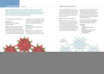 Alternative view 5 of Connect the Shapes Crochet Motifs: Creative Techniques for Joining Motifs of All Shapes; Includes 101 New Motif Designs