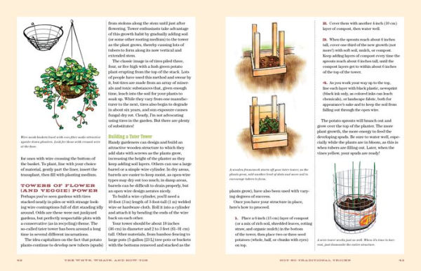 Vertical Vegetables & Fruit: Creative Gardening Techniques for Growing Up in Small Spaces