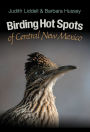 Birding Hot Spots of Central New Mexico