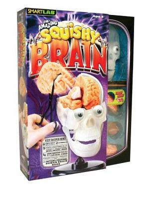squishy brain toy