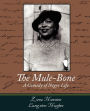 The Mule-Bone