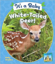 Title: It's a Baby White-Tailed Deer!, Author: Kelly Doudna