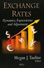 Exchange Rates: Dynamics, Expectations and Adjustment