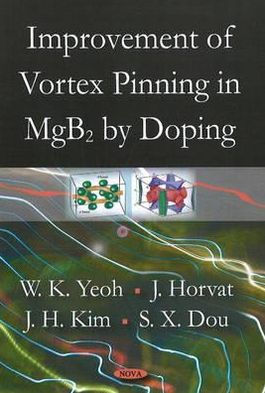 Improvement of Vortex Pinning in MgB2