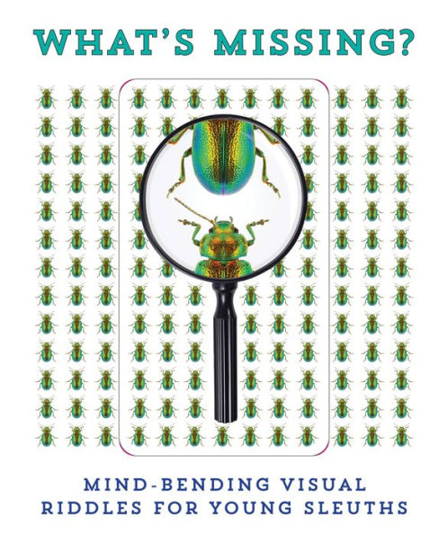 What's Missing?: Mind-Bending Visual Riddles for Young Sleuths