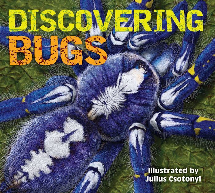 Discovering Bugs by Appleseed Press Book Publishers, Paperback Barnes