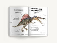 Alternative view 2 of The Ultimate Dinosaur Field Guide (B&N Exclusive Edition)