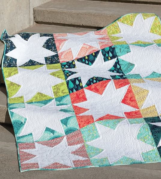 Skip the Borders: Easy Patterns for Modern Quilts