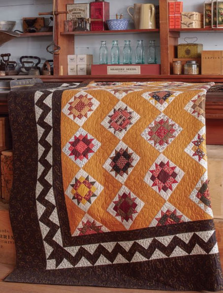 Tributes and Treasures: 12 Vintage-Inspired Quilts Made with Reproduction Prints