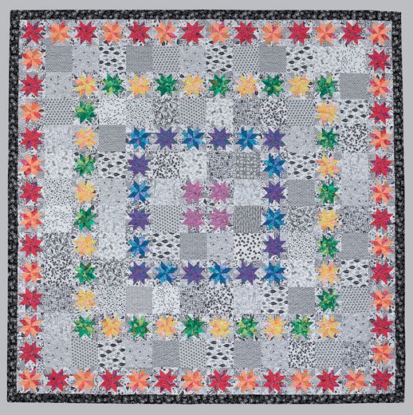 Splash of Color: A Rainbow of Brilliant Black-and-White Quilts