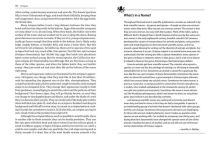 Alternative view 12 of Octopus: The Ocean's Intelligent Invertebrate