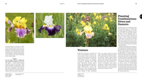 A Guide to Bearded Irises: Cultivating the Rainbow for Beginners and Enthusiasts