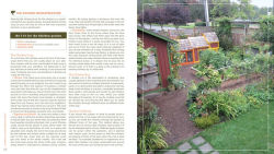 Alternative view 6 of Free-Range Chicken Gardens: How to Create a Beautiful, Chicken-Friendly Yard