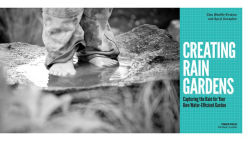Alternative view 2 of Creating Rain Gardens: Capturing the Rain for Your Own Water-Efficient Garden