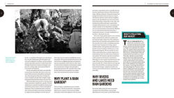 Alternative view 6 of Creating Rain Gardens: Capturing the Rain for Your Own Water-Efficient Garden