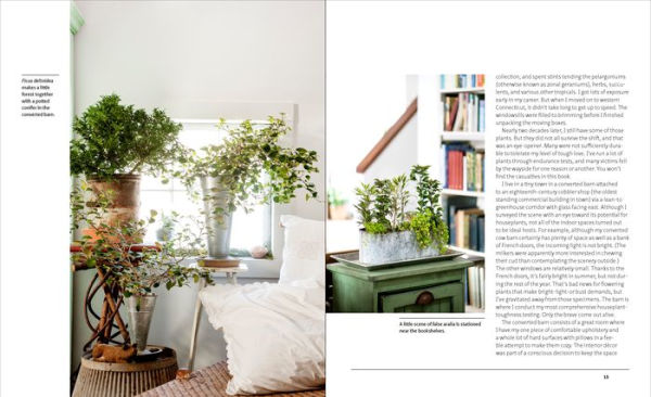 The Unexpected Houseplant: 220 Extraordinary Choices for Every Spot in Your Home