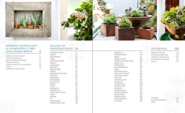 The Unexpected Houseplant: 220 Extraordinary Choices for Every Spot in Your Home